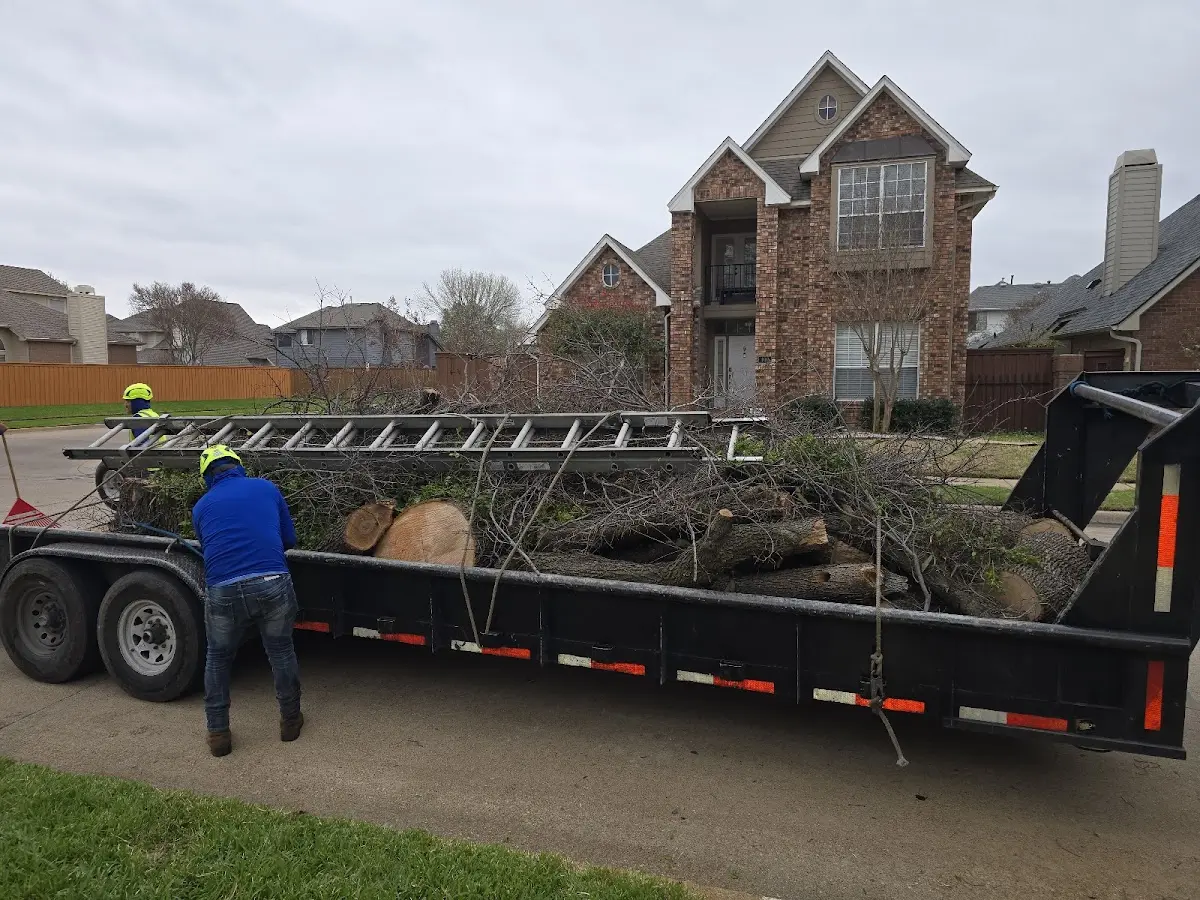 Expert Tree Removal with proper safety equipment in Leigh
